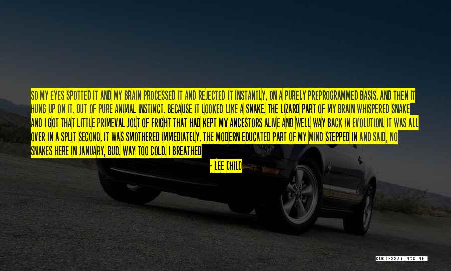Pururi Dex Quotes By Lee Child Pururi Dex Quotes By Lee Child