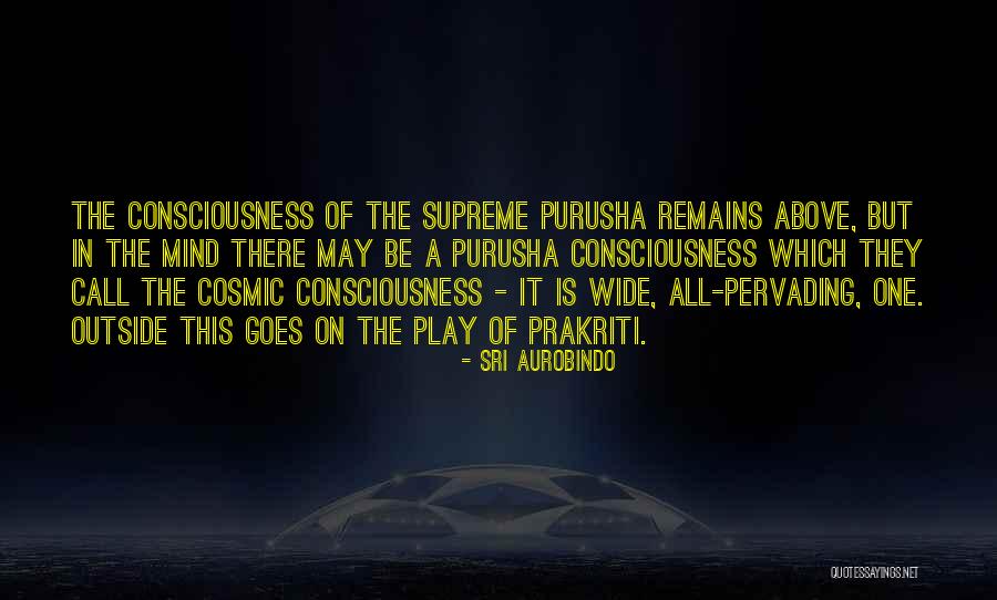 Purusha And Prakriti Quotes By Sri Aurobindo Purusha And Prakriti Quotes By Sri Aurobindo