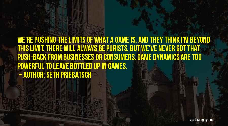 Push Beyond Your Limits Quotes By Seth Priebatsch