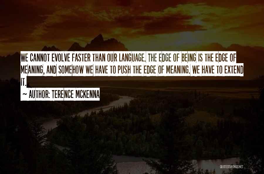 Push Over The Edge Quotes By Terence McKenna