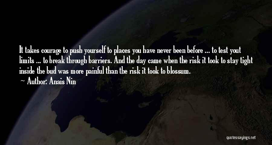 Push Through Your Limits Quotes By Anais Nin