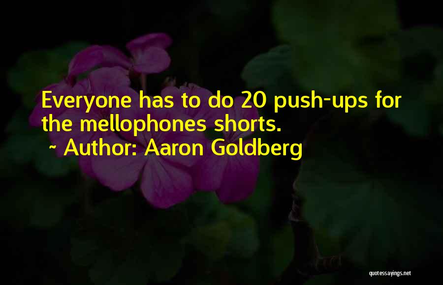 Push Ups Quotes By Aaron Goldberg