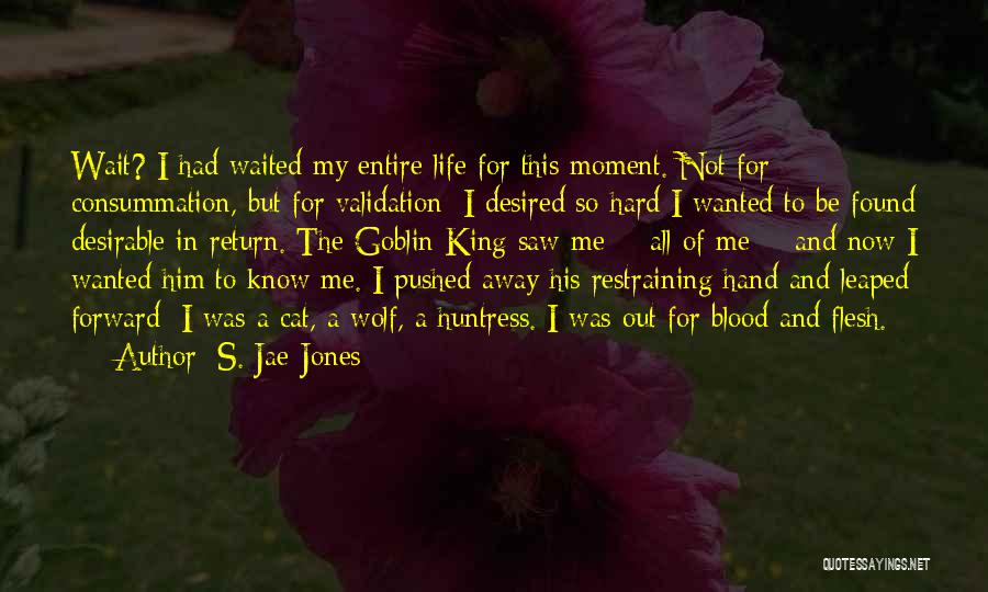 Pushed Me Away Quotes By S. Jae-Jones