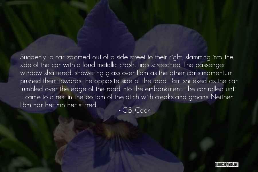 Pushed Over Quotes By C.B. Cook Pushed Over Quotes By C.B. Cook