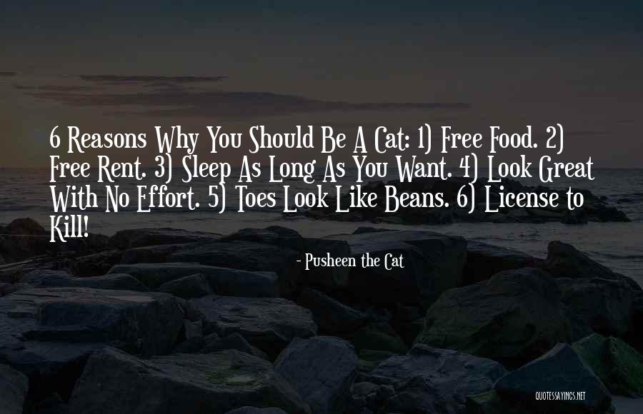 Pusheen The Cat Quotes 836510 Pusheen The Cat Quotes 836510