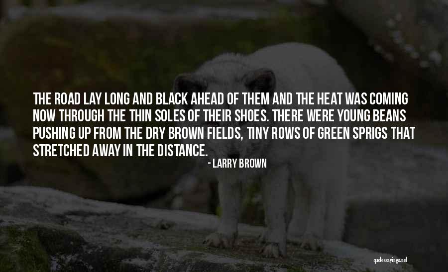 Pushing Ahead Quotes By Larry Brown Pushing Ahead Quotes By Larry Brown