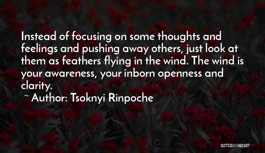 Pushing Feelings Away Quotes By Tsoknyi Rinpoche