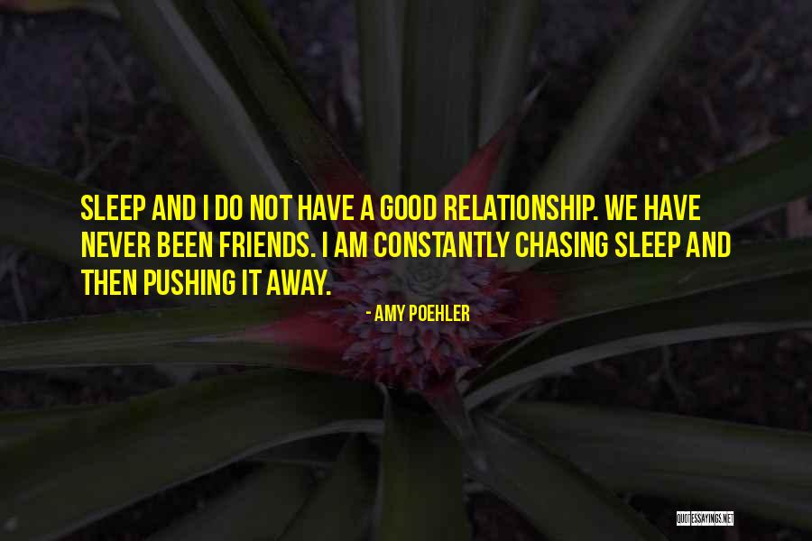 Pushing Friends Away Quotes By Amy Poehler