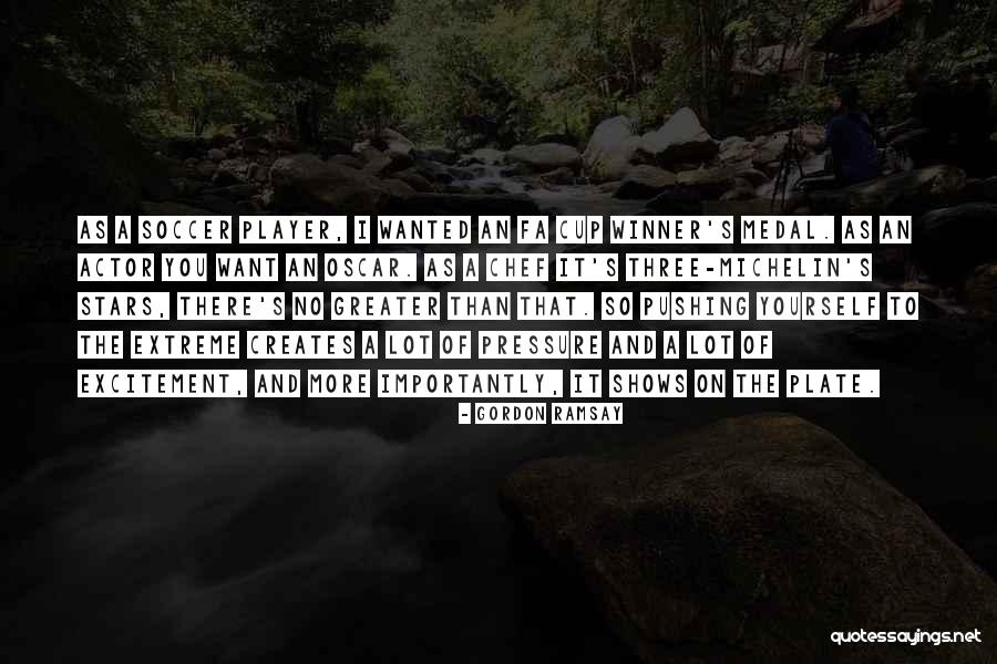 Pushing It Quotes By Gordon Ramsay Pushing It Quotes By Gordon Ramsay