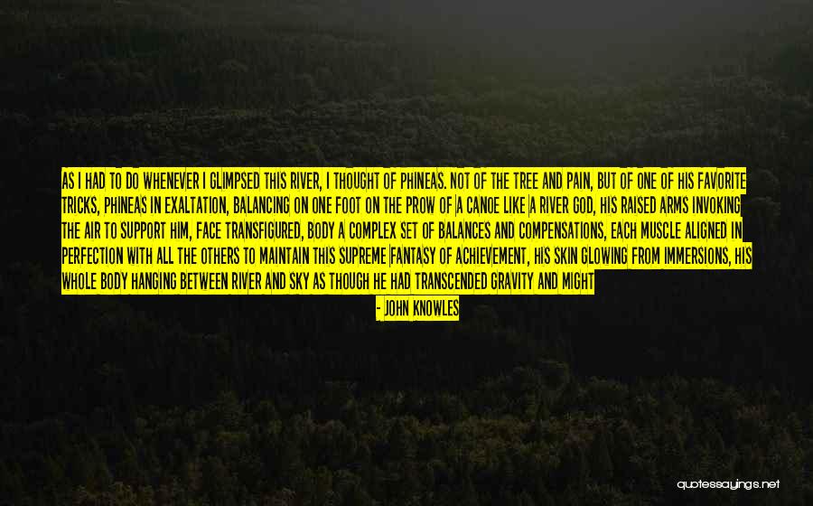 Pushing Past The Pain Quotes By John Knowles