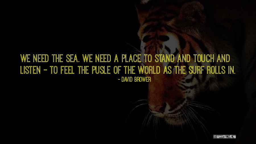Pusle Quotes By David Brower Pusle Quotes By David Brower