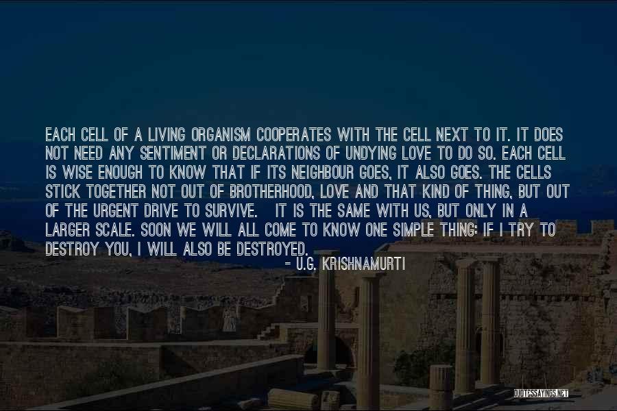 Puso Vs Utak Quotes By U.G. Krishnamurti Puso Vs Utak Quotes By U.G. Krishnamurti
