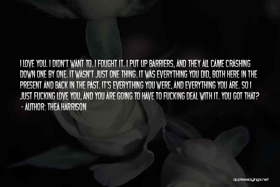 Put It In The Past Quotes By Thea Harrison