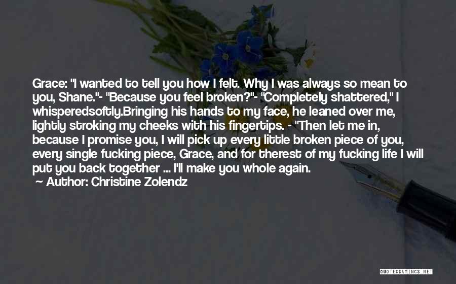 Put Me Back Together Quotes By Christine Zolendz