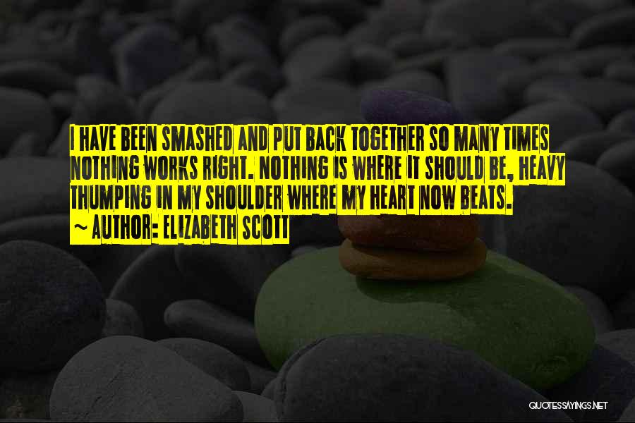 Put My Heart Back Together Quotes By Elizabeth Scott