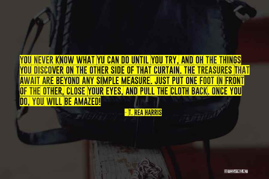 Put One Foot In Front Of The Other Quotes By T. Rea Harris Put One Foot In Front Of The Other Quotes By T. Rea Harris