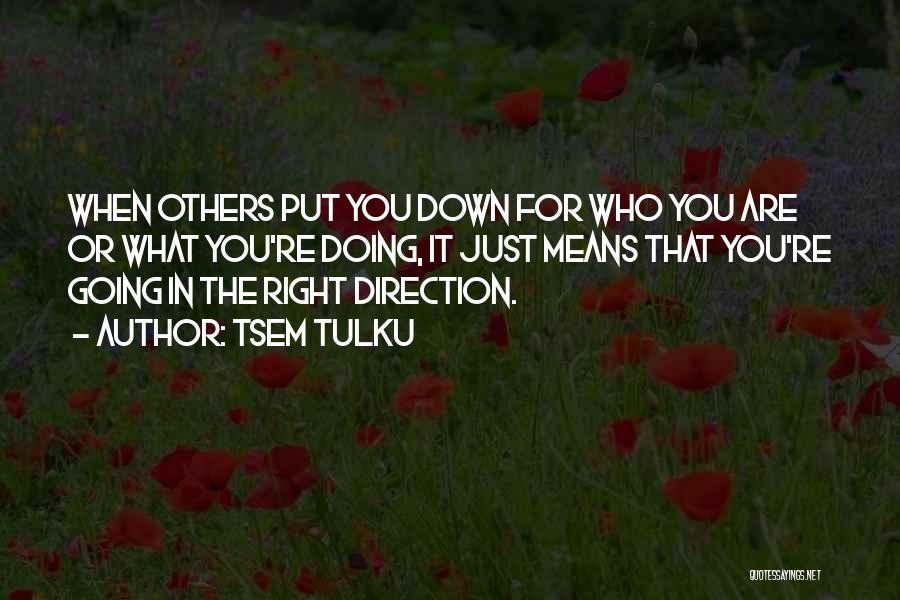Put Others Down Quotes By Tsem Tulku