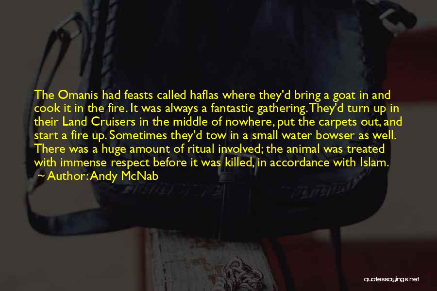 Put Out Fire Quotes By Andy McNab