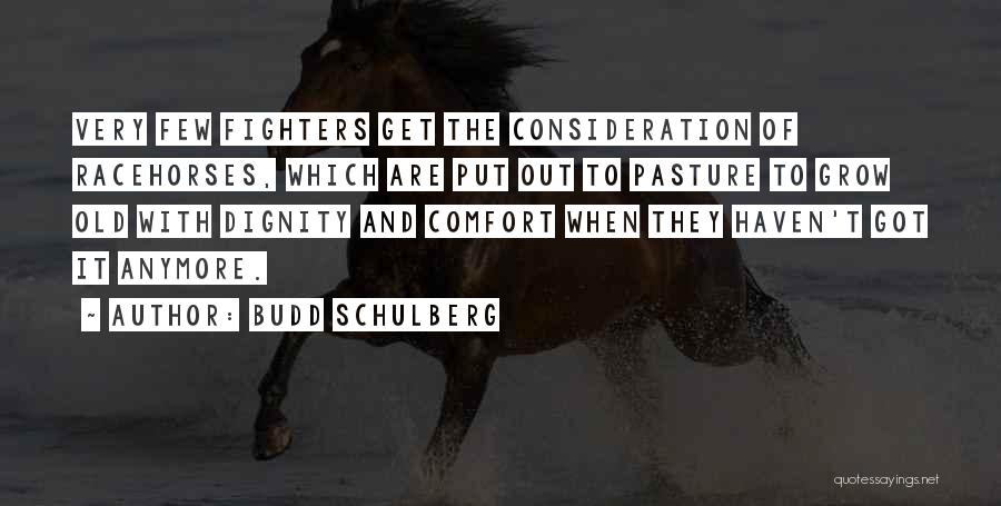 Put Out To Pasture Quotes By Budd Schulberg