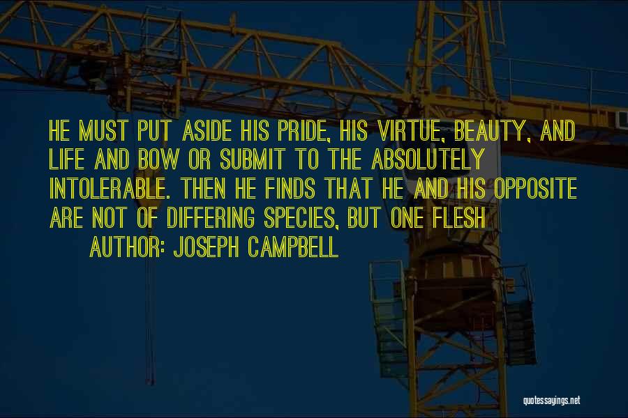 Put Your Pride Aside Quotes By Joseph Campbell