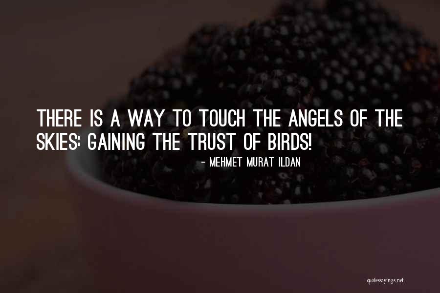 Putrezire Quotes By Mehmet Murat Ildan Putrezire Quotes By Mehmet Murat Ildan