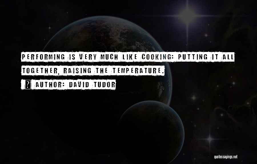 Putting It All Together Quotes By David Tudor