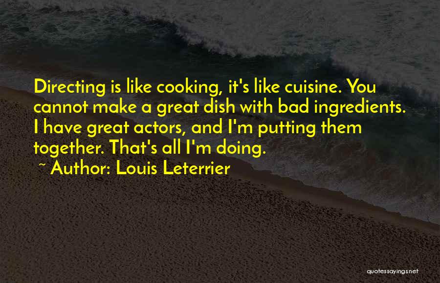 Putting It All Together Quotes By Louis Leterrier