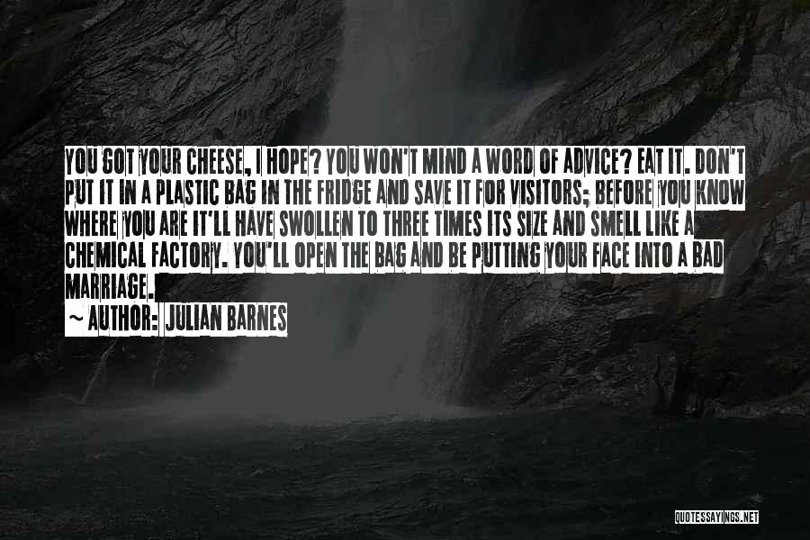 Putting Out Of Your Mind Quotes By Julian Barnes