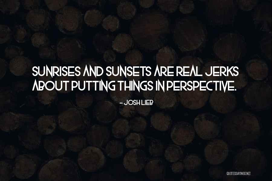 Putting Things In Perspective Quotes By Josh Lieb