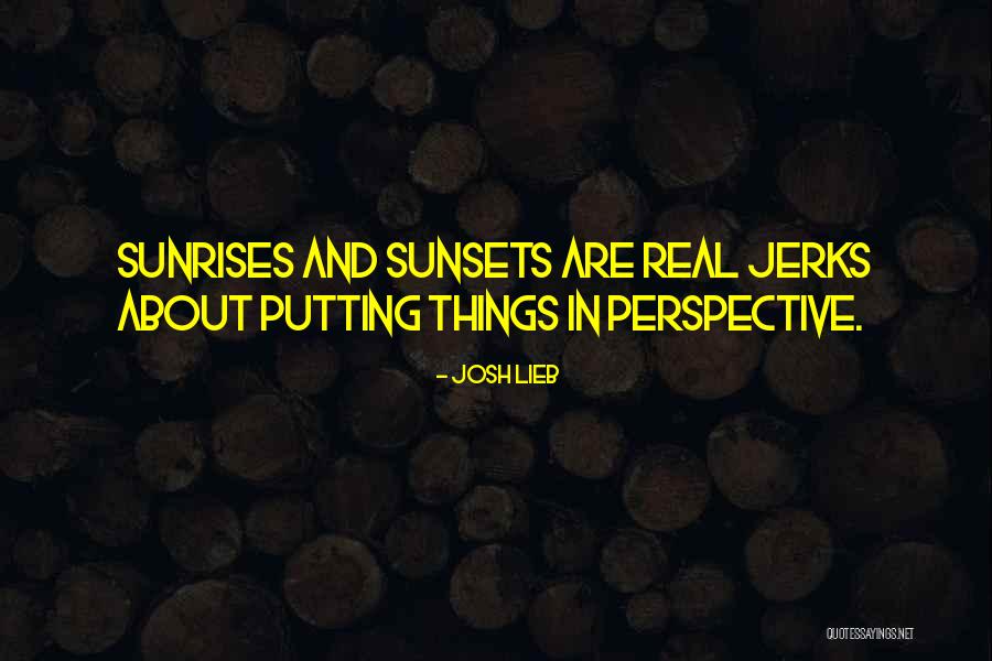 Putting Things Into Perspective Quotes By Josh Lieb