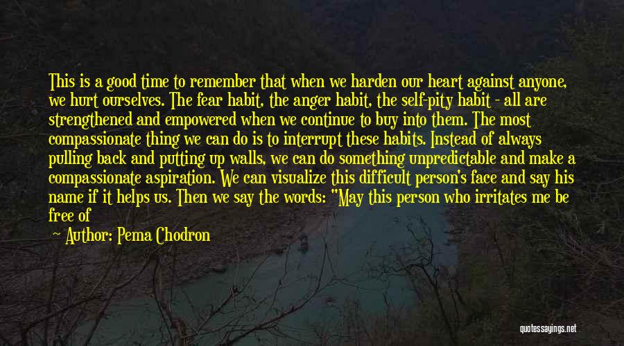 Putting Up Walls Quotes By Pema Chodron