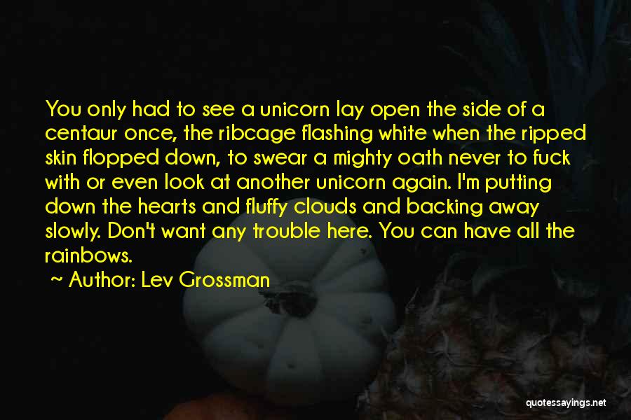 Putting You Down Quotes By Lev Grossman