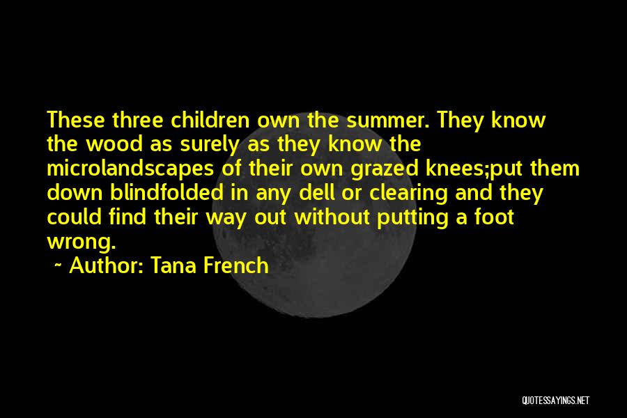 Putting Your Foot Down Quotes By Tana French