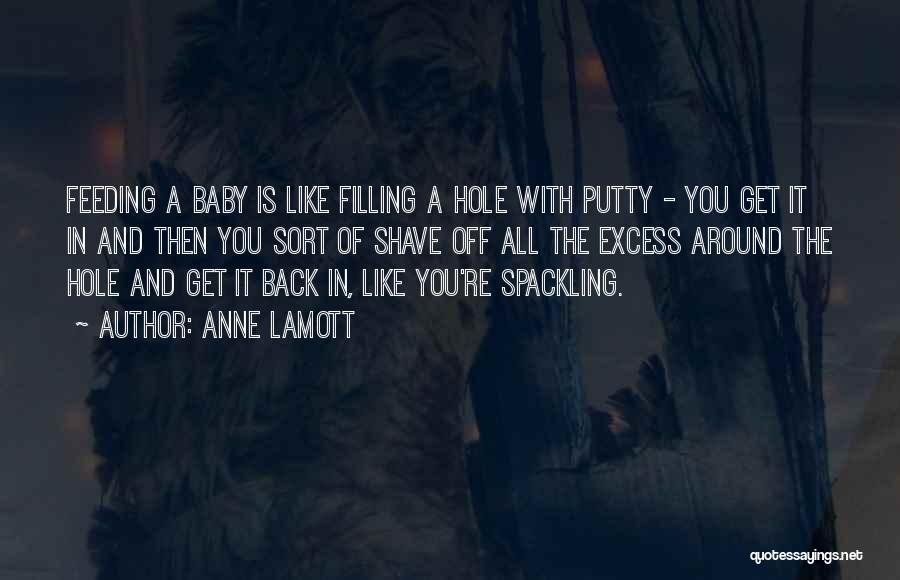 Putty Quotes By Anne Lamott