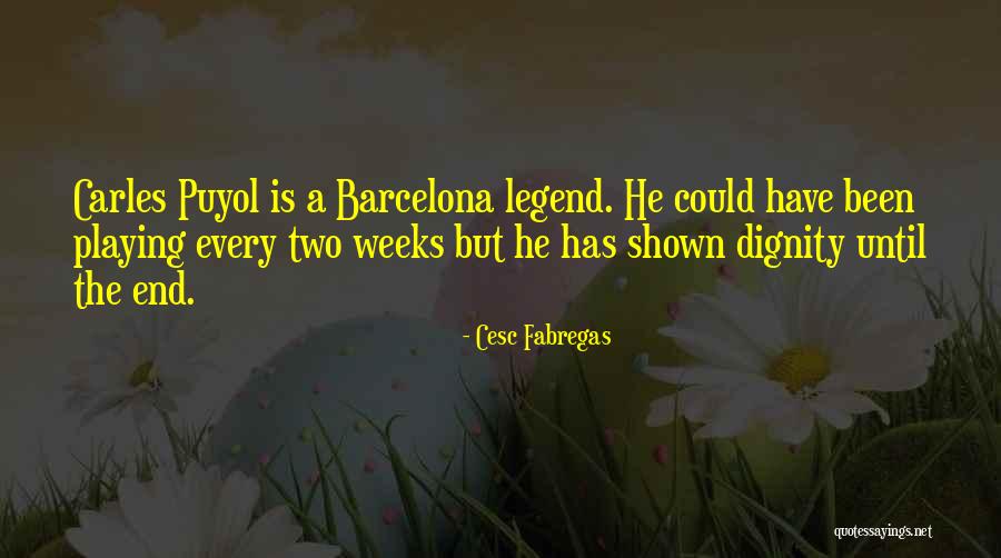 Puyol Quotes By Cesc Fabregas