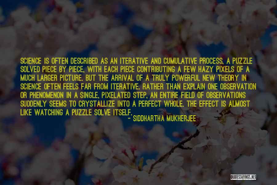 Puzzle Piece Quotes By Siddhartha Mukherjee Puzzle Piece Quotes By Siddhartha Mukherjee