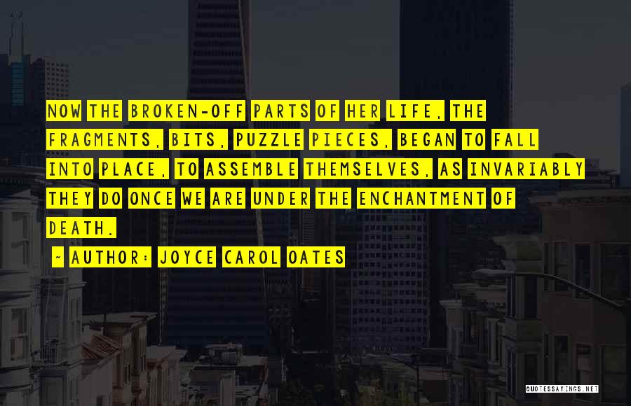 Puzzle Pieces Of Life Quotes By Joyce Carol Oates