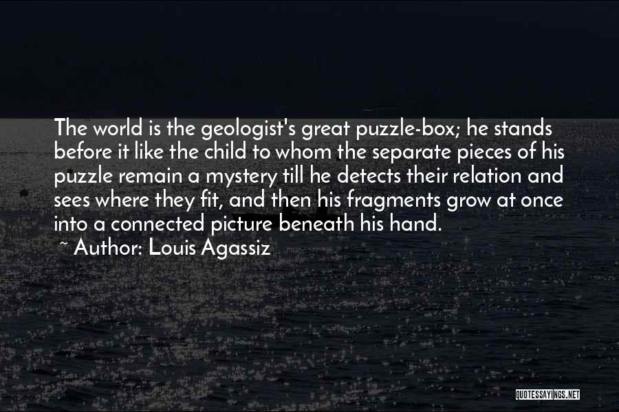 Puzzle Pieces Quotes By Louis Agassiz