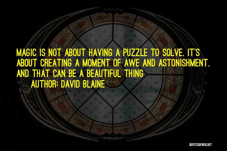 Puzzle Quotes By David Blaine