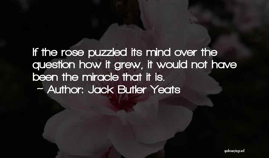 Puzzled Mind Quotes By Jack Butler Yeats