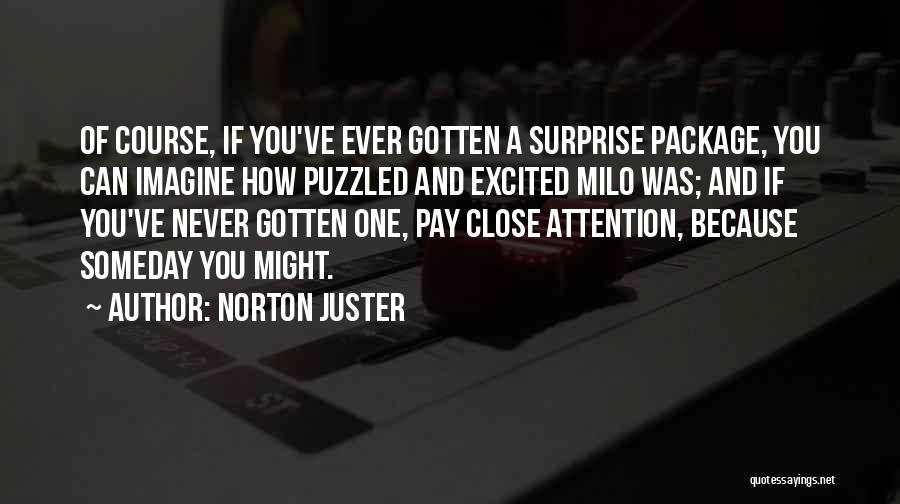 Puzzled Quotes By Norton Juster