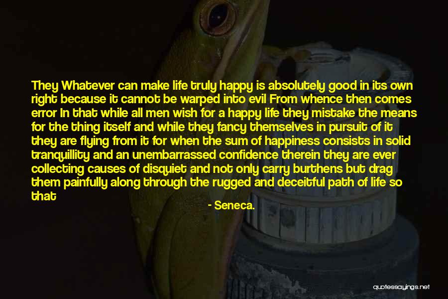 Puzzles Of Life Quotes By Seneca. Puzzles Of Life Quotes By Seneca.