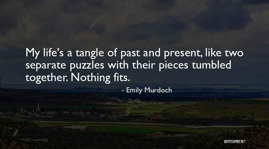 Puzzles Pieces And Life Quotes By Emily Murdoch Puzzles Pieces And Life Quotes By Emily Murdoch