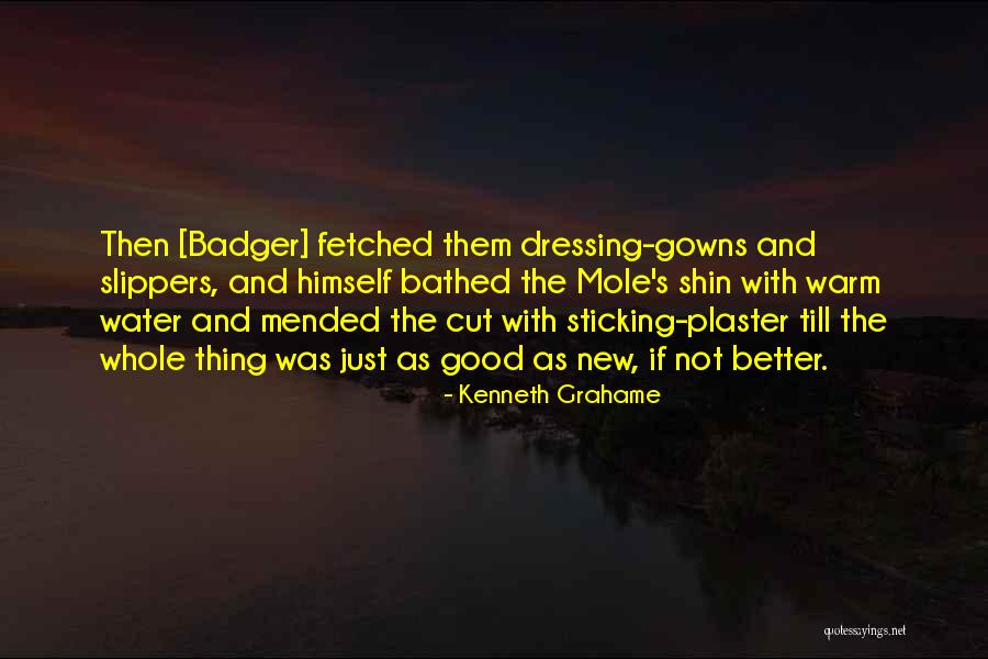 Pv Sindhu Quotes By Kenneth Grahame Pv Sindhu Quotes By Kenneth Grahame