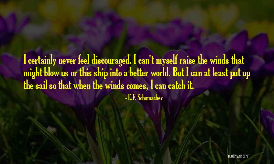 Pychyl And Procrastination Quotes By E.F. Schumacher Pychyl And Procrastination Quotes By E.F. Schumacher