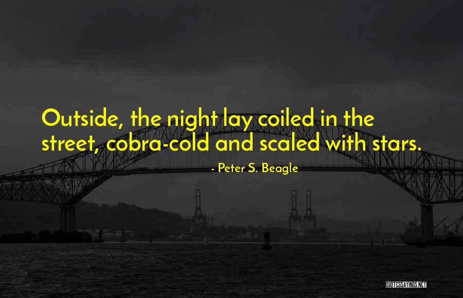 Pykoboactbo Quotes By Peter S. Beagle Pykoboactbo Quotes By Peter S. Beagle