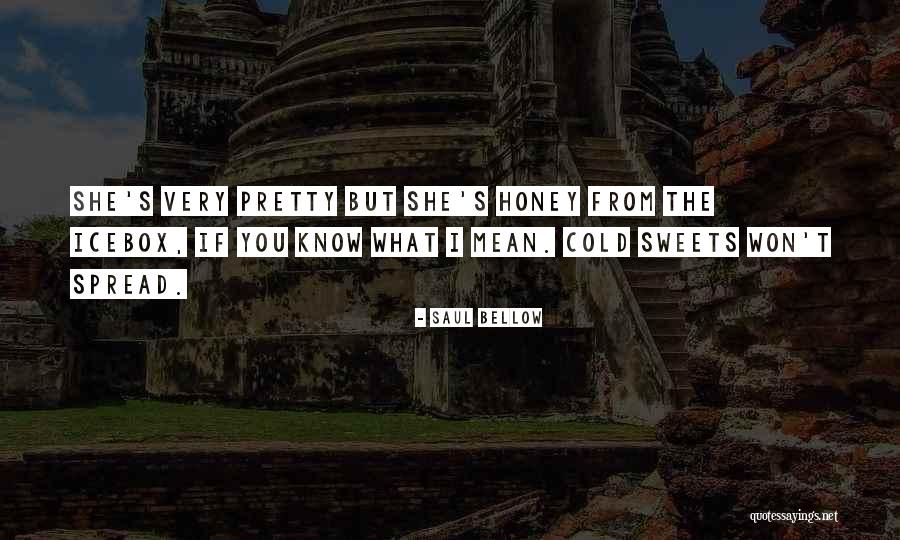 Pylarinos Gr Quotes By Saul Bellow Pylarinos Gr Quotes By Saul Bellow