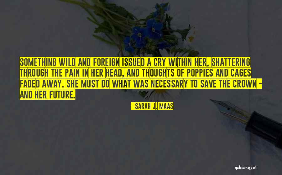 Pylos Combat Quotes By Sarah J. Maas Pylos Combat Quotes By Sarah J. Maas