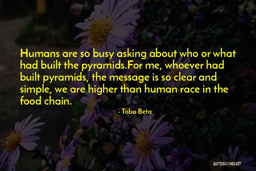 Pyramid Of Food Chain Quotes By Toba Beta Pyramid Of Food Chain Quotes By Toba Beta