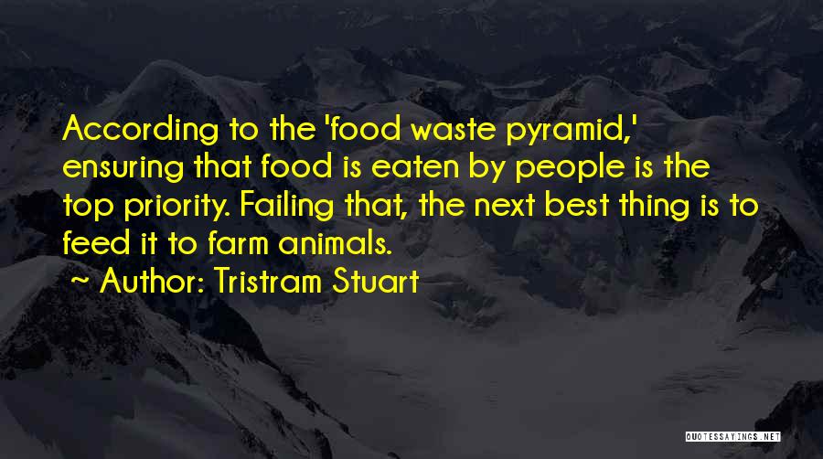 Pyramid Quotes By Tristram Stuart